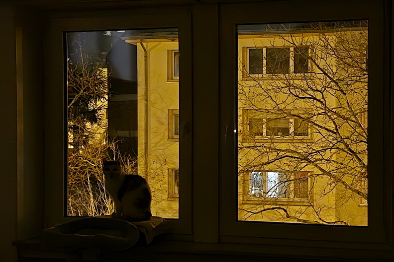 20250121_215239.jpg