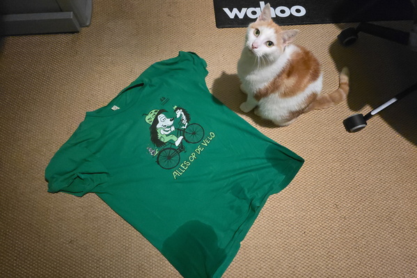 Timmy's T-Shirt Takeover!