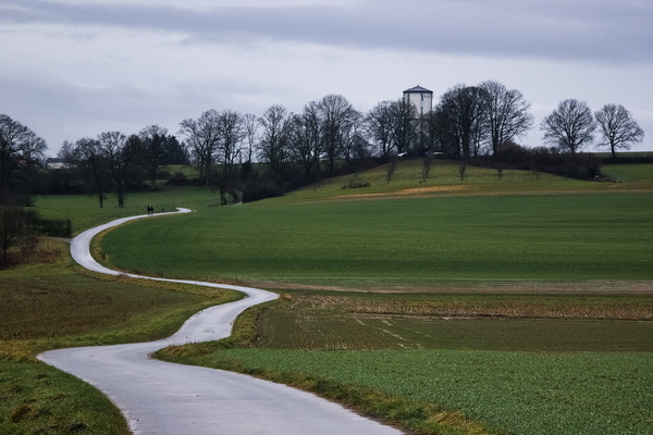 The Winding Path to the Whispering Tower