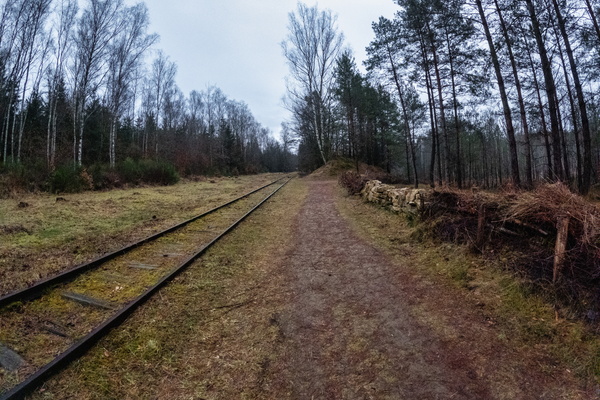 Tracks to Nowhere and Everywhere