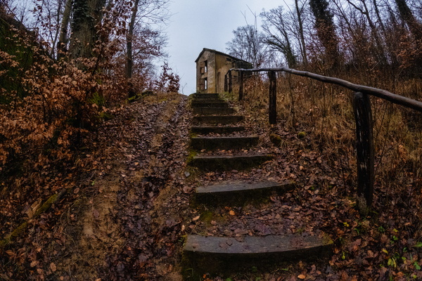 A Path Through Time