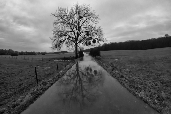 Oh, joy, another wet road