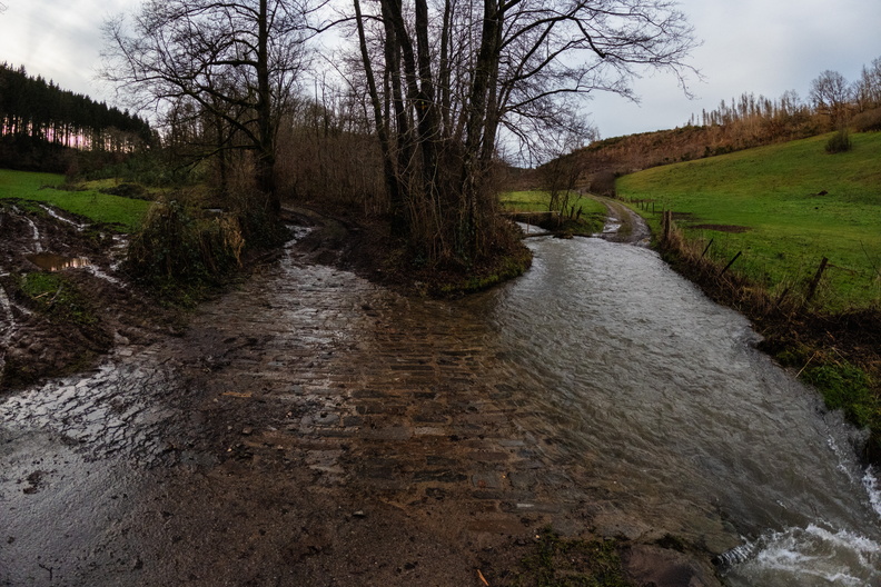 20250126_160851.jpg