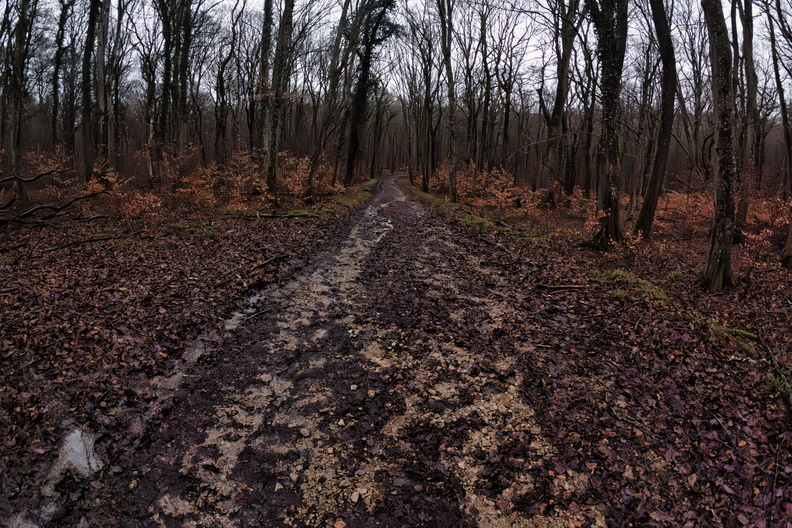 20250128_170538.jpg