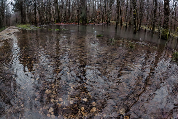 When the Road Turns into a River