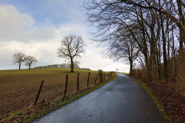 The Lonely Path Beckons