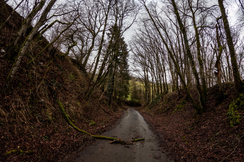 20250129_162559.jpg