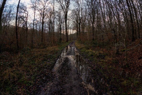 When the puddles have more going on than your social life.