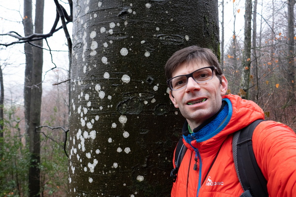 Tree Hugger with Teeth