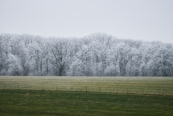 The Heart of Winter's Embrace
