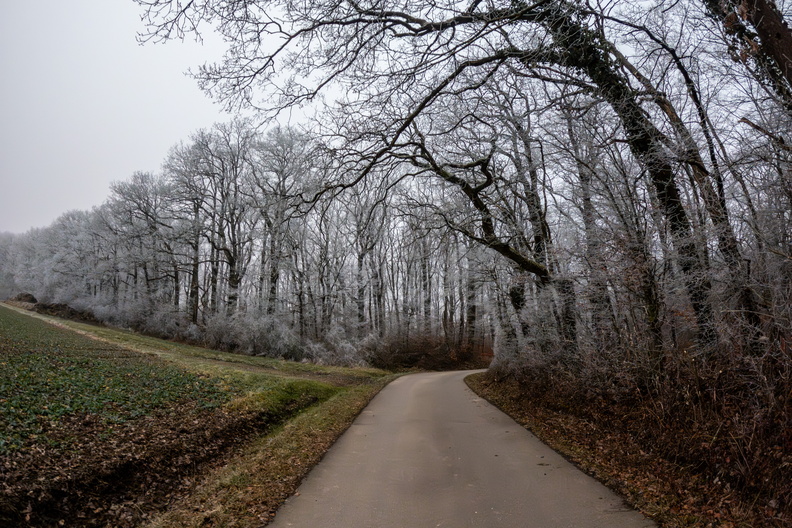 20250204_171823.jpg