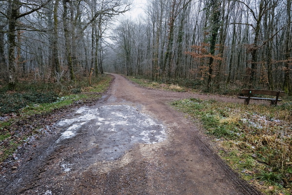 Winter's Grip: When Even Nature Forgets to Thaw.