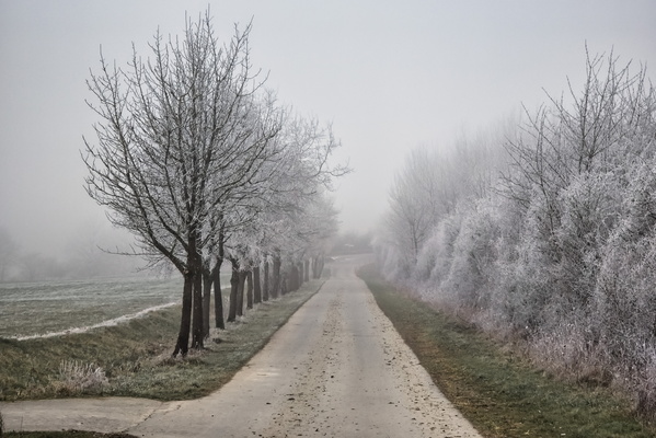 Fog? I thought it was just Tuesday.