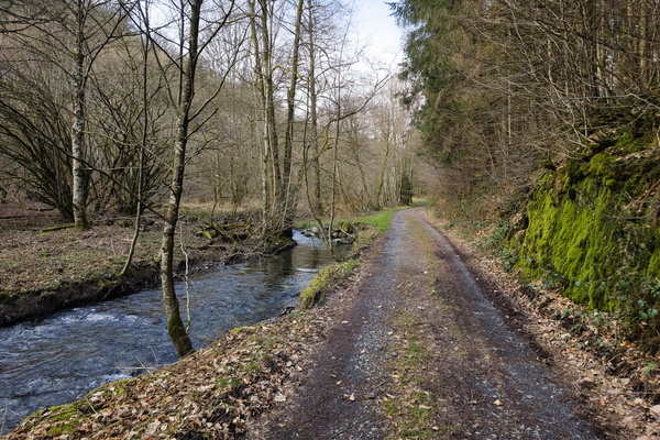 Where Fairies Lead the Way