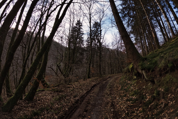 Trailblazing in the Ardennes