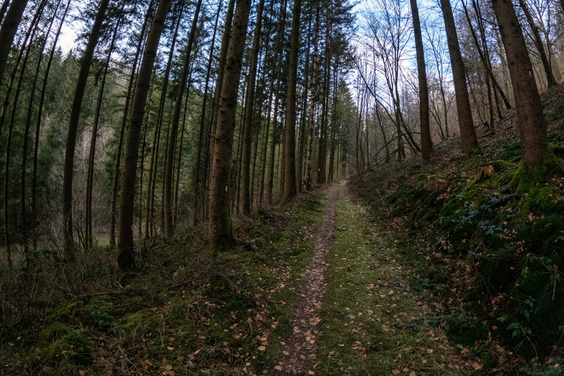 20250207_160613.jpg