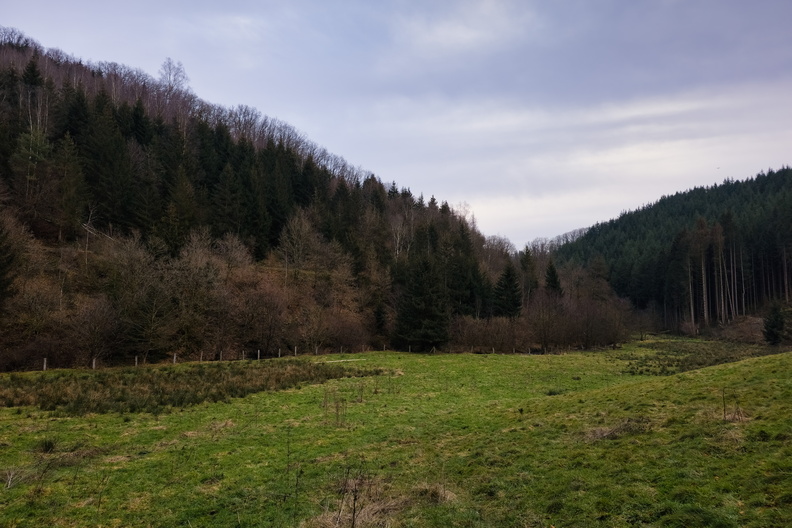 20250207_164830.jpg