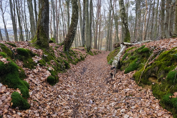 Rennpad's Woodland Heritage
