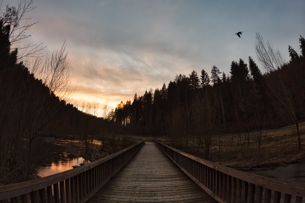 Finding Peace on the Bridge