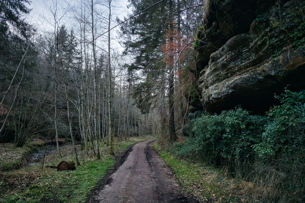 A Lover's Lane in Ernzen's Embrace