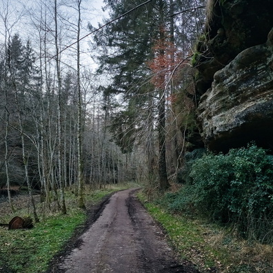 20250208_174926.jpg