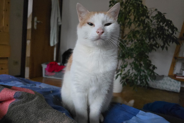 Oh, the Thrill of Existing. Another Day, Another Disappointment. Feed me, human!!