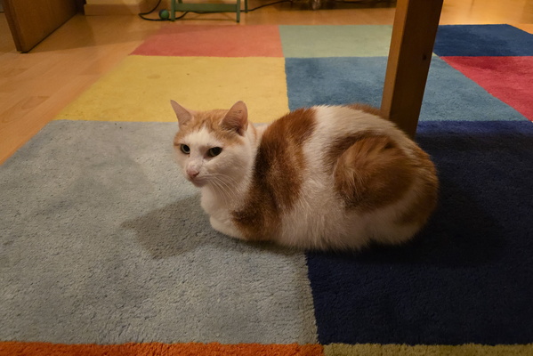 Timmy's Doing His Best Impression of a Loaf of Bread (Spoiler: He's Winning)