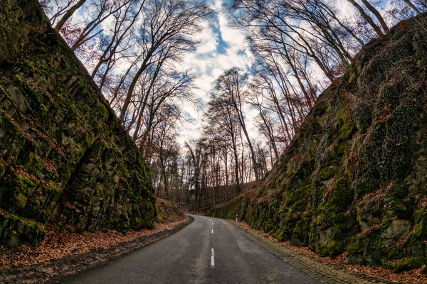 A Luxembourgish Road in Winter