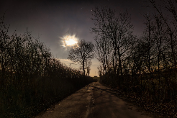 Pathway to the Moonlit Realm