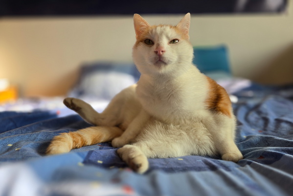 Oh, *this* is how the other half live. Comfy, eh, Timmy?