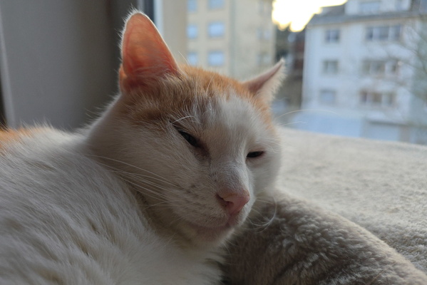 Oh, the Thrill of Window Shopping... Through Sleepy Eyes.