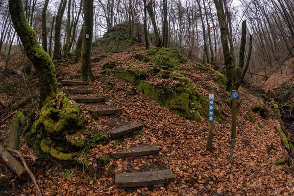 Let's Hit the Trails!