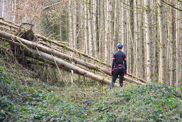 Embracing the Wild Heart of Luxembourg