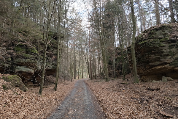 Thrill of the Trail: A Path to Adventure