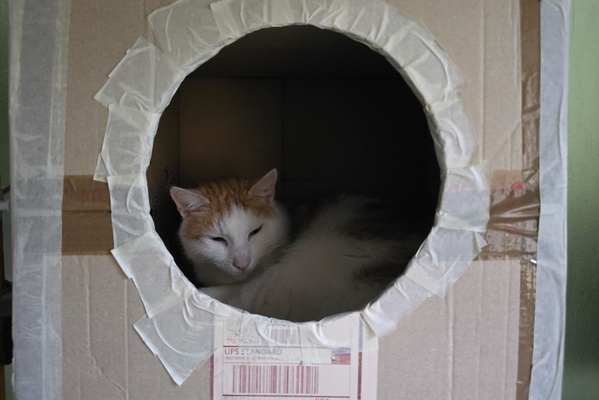 Oh, the Glamour of Cardboard Chateau Living