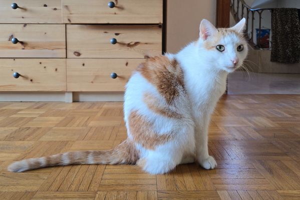 Oh, the Majesty. Another Day, Another Posing Session.