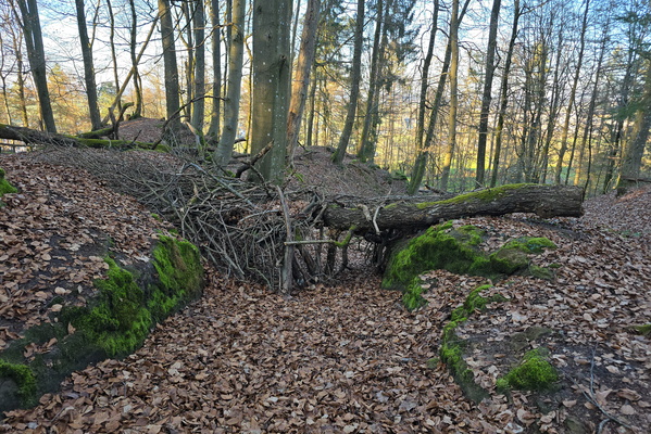 Embrace the Wild Heart of Luxembourg!