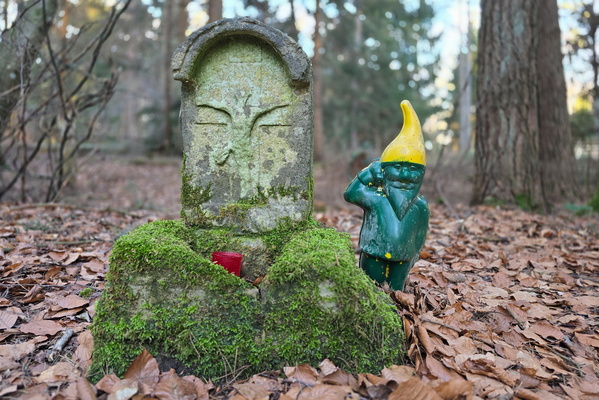 Gnome Alone: A Playful Forest Encounter