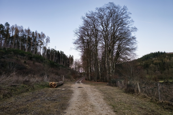 Revitalising Route of Beckerich