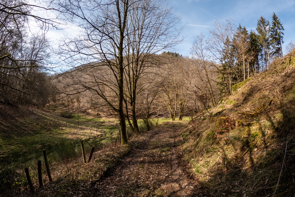 Tranquillity Trail: A Peaceful Escape into Nature