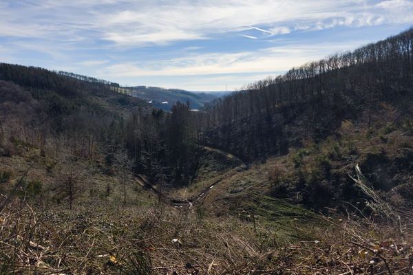 Luxembourg's Got Valleys (and We're Not Afraid to Use Them)