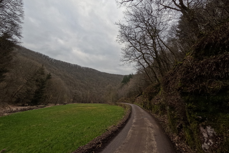 20250314_165739.jpg