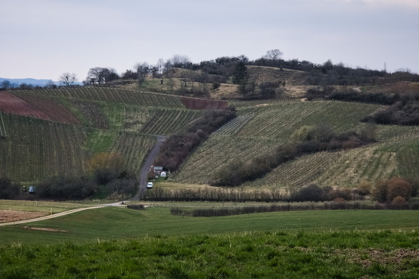 A Tapestry of Terroir