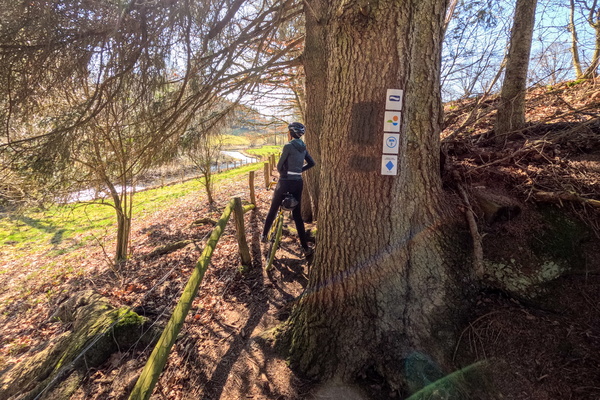 Tree Hugger's Trail Break: Sign of a Good Time?