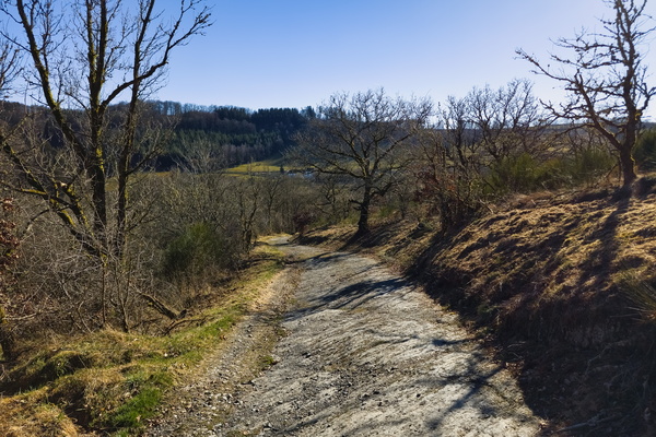 Gravel Road Composition: A Study in Texture and Light