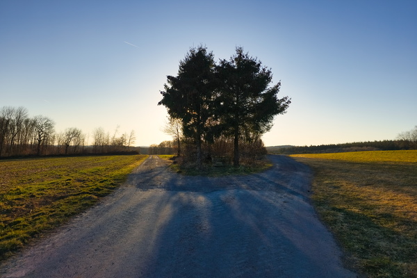 Decision Fatigue at the Crossroads