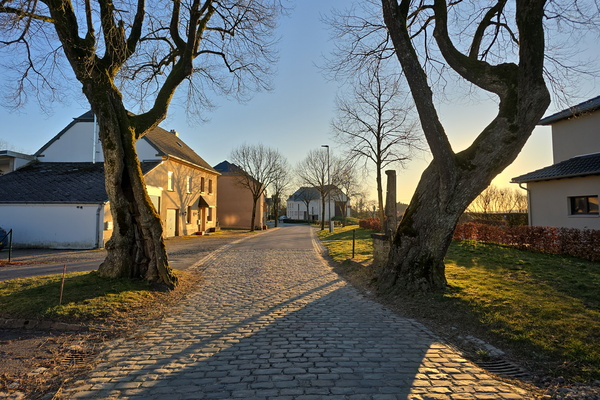 Where sunlight paints the ancient way