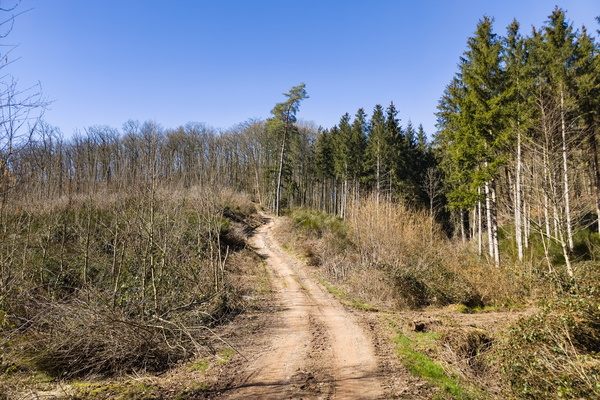 Let's Hit the Trail! Oh damn!