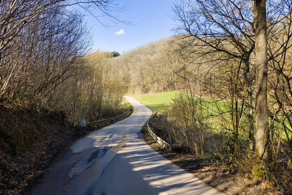 A Ribbon of Asphalt Through the Verdant Embrace