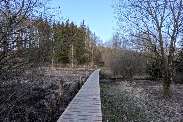 Boardwalk to Somewhere